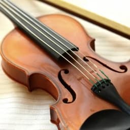 音楽部室内楽班